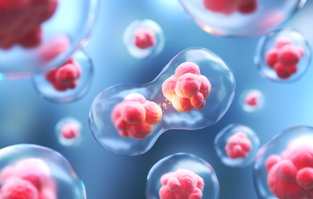 临床数据惊人：干细胞干预半年免疫力增强6